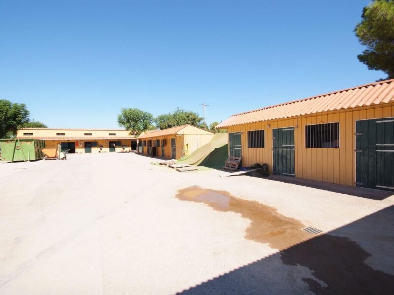 f290f1bf-0e23-4b37-affc-aed0a00925f3 - copia